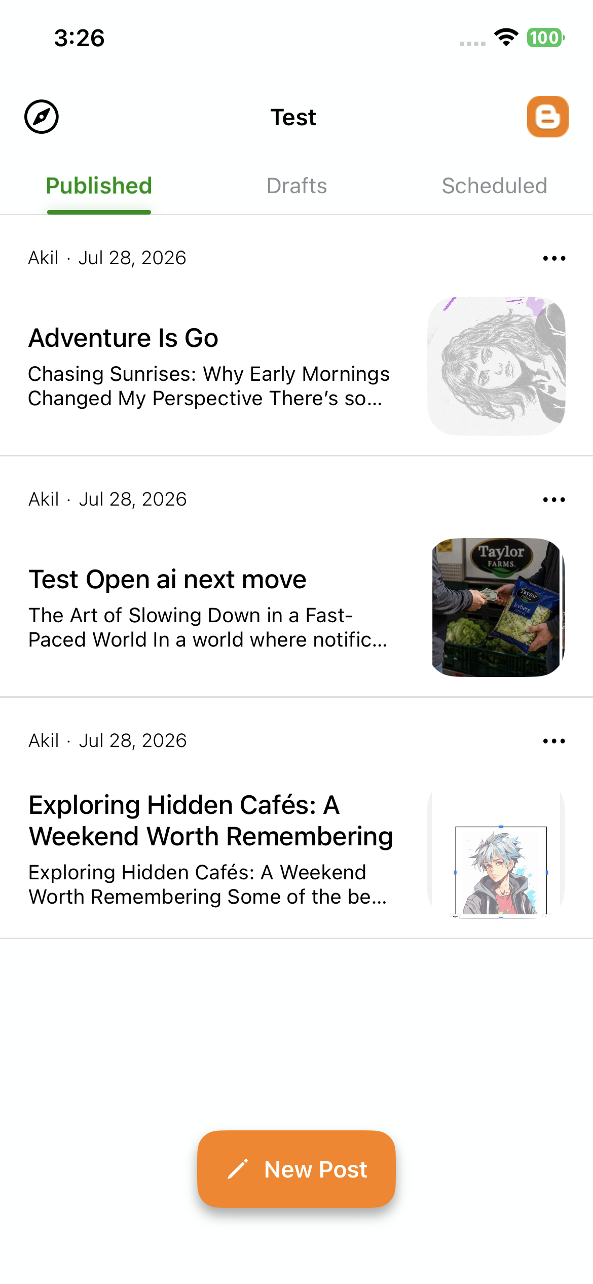 My Business Page Published Posts